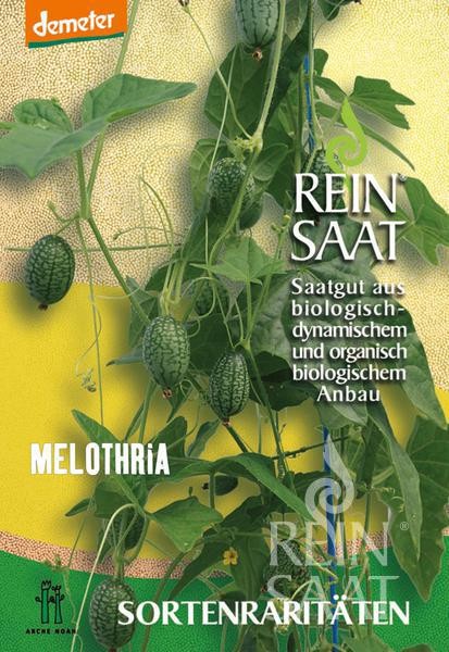 Melothria - Bio