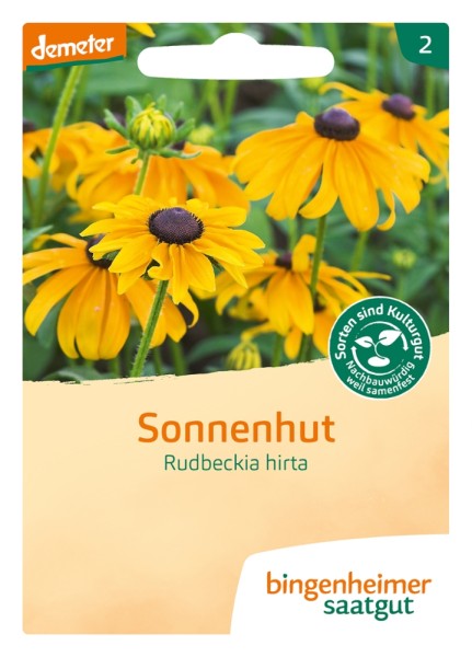 Sonnenhut - Rudbeckia hirta - Bio