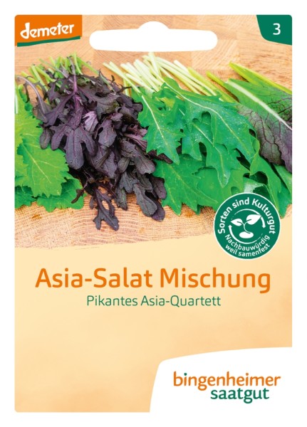 Asia Salat - Pikantes Asia - Quartett - Bio