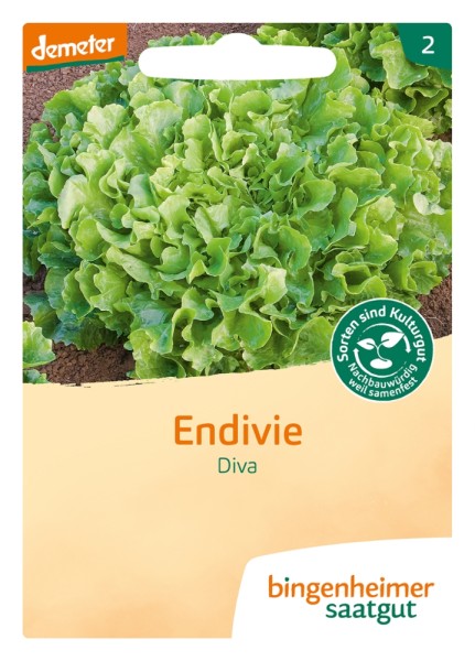 Diva - Endivie - Bio
