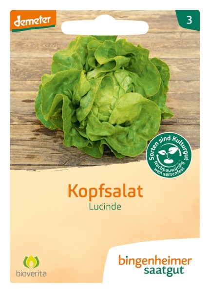 Kopfsalat - Lucinde - Bio