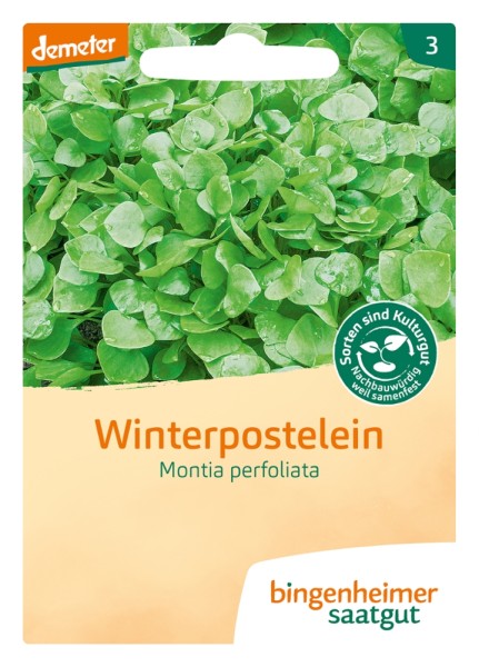 Portulak - Winterpostelein - Bio