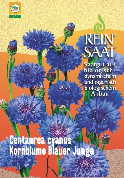 Kornblume ,Blauer Junge’ - Centaurea cyanus - Bio
