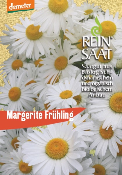 Margerite Frühling - Chrysanthemum leucanthemum - Bio