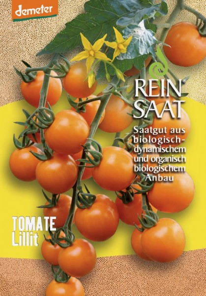 Tomate - Lillit - Bio