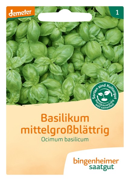 Basilikum - mittelgroßblättrig - Bio