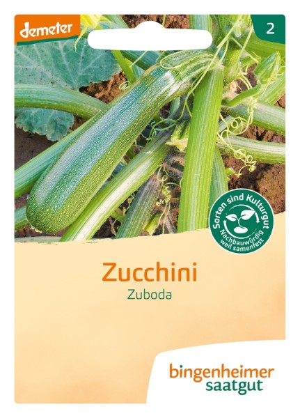 Zucchini - Zuboda - Bio