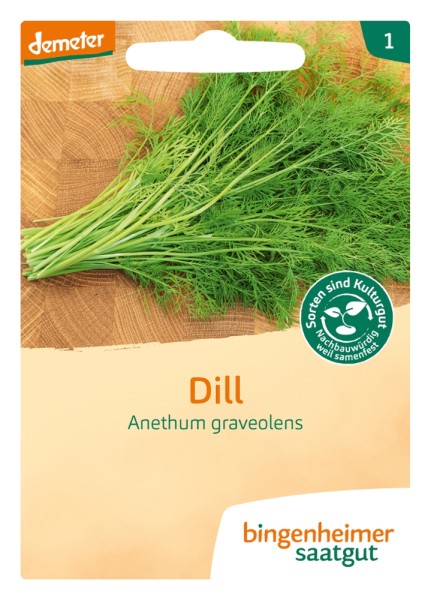 Dill - Anethum graveolens - Bio